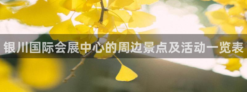 果博东官方网站怎么下载